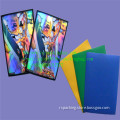Export quality composite game card sets of laser effect of Yin and Yang plastic Board game card membrane